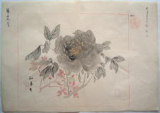 動物・植物：花鳥画：瀧和亭の模写画